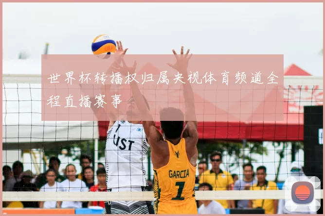 世界杯转播权归属央视体育频道全程直播赛事